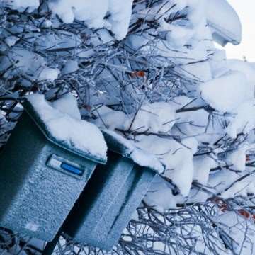 Två postlådor i en frostig häck